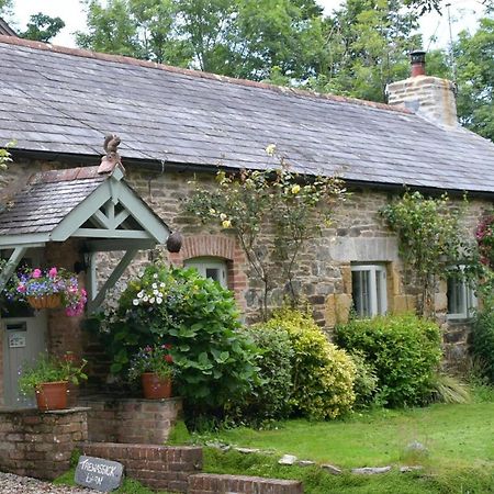 Trewassick Barn Bed & Breakfast New Quay Екстериор снимка